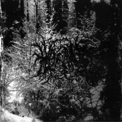 Nostra Terribilis Hiems